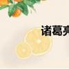 諸葛亮（關于諸葛亮的簡介）