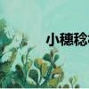 小穗稔村（關于小穗稔村簡介）