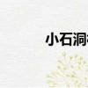 小石洞村（關于小石洞村簡介）