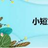 小短文（關于小短文簡介）