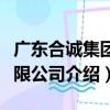 廣東合誠集團有限公司（關于廣東合誠集團有限公司介紹）