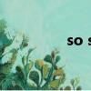 so so什么意思（so so）