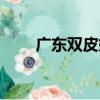 廣東雙皮奶（關于廣東雙皮奶介紹）