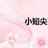 小短尖系（關于小短尖系簡介）