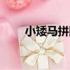 小矮馬拼圖（關于小矮馬拼圖簡介）