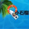 小石榴葉（關于小石榴葉簡介）