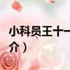 小科員王十一拍客（關于小科員王十一拍客簡介）