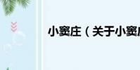 小竇莊(關于小竇莊簡介)