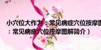 小穴位大作為:常見病癥穴位按摩圖解(關于小穴位大作為:常見病癥穴位按摩圖解簡介)