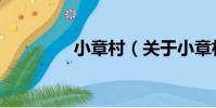 小章村(關于小章村簡介)