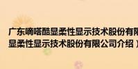 廣東嘀嗒酷顯柔性顯示技術股份有限公司(關于廣東嘀嗒酷顯柔性顯示技術股份有限公司介紹)