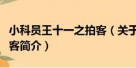 小科員王十一之拍客(關于小科員王十一之拍客簡介)