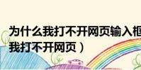 為什么我打不開網頁輸入框是紅色的(為什么我打不開網頁)