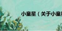 小童星(關于小童星簡介)