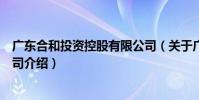 廣東合和投資控股有限公司(關于廣東合和投資控股有限公司介紹)