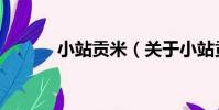 小站貢米(關于小站貢米簡介)