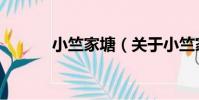小竺家塘(關于小竺家塘簡介)