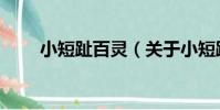 小短趾百靈(關于小短趾百靈簡介)
