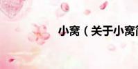 小窩(關于小窩簡介)
