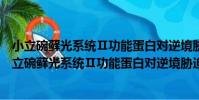 小立碗蘚光系統Ⅱ功能蛋白對逆境脅迫響應的研究(關于小立碗蘚光系統Ⅱ功能蛋白對逆境脅迫響應的研究簡介)