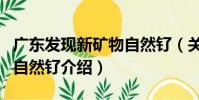 廣東發現新礦物自然釕(關于廣東發現新礦物自然釕介紹)