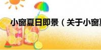 小窗夏日即景(關于小窗夏日即景簡介)