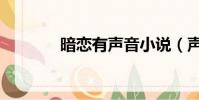 暗戀有聲音小說(聲音小說)