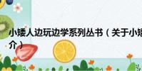 小矮人邊玩邊學系列叢書(關于小矮人邊玩邊學系列叢書簡介)