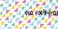 小立(關于小立簡介)