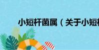 小短桿菌屬(關于小短桿菌屬簡介)