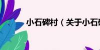 小石碑村(關于小石碑村簡介)