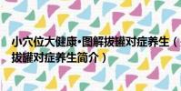 小穴位大健康·圖解拔罐對癥養生(關于小穴位大健康·圖解拔罐對癥養生簡介)