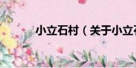 小立石村(關于小立石村簡介)