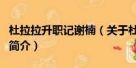 杜拉拉升職記謝楠(關于杜拉拉升職記謝楠的簡介)