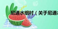 尼通水組村(關于尼通水組村簡介)