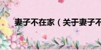 妻子不在家(關于妻子不在家的簡介)