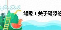 縫隙(關于縫隙的簡介)