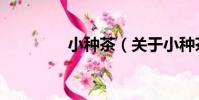 小種茶(關于小種茶簡介)