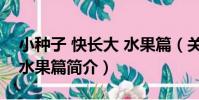 小種子 快長大 水果篇(關于小種子 快長大 水果篇簡介)