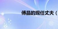 傅晶的現任丈夫(傅 晶)