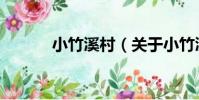 小竹溪村(關于小竹溪村簡介)