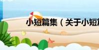 小短篇集(關于小短篇集簡介)