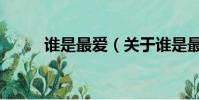 誰是最愛(關于誰是最愛的簡介)