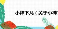 小神下凡(關于小神下凡簡介)