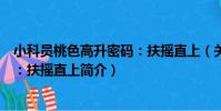 小科員桃色高升密碼:扶搖直上(關于小科員桃色高升密碼:扶搖直上簡介)