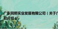 廣東同熙實業發展有限公司(關于廣東同熙實業發展有限公司介紹)