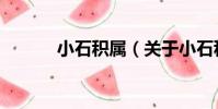 小石積屬(關于小石積屬簡介)