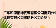 廣東和盛招標代理有限公司揭陽分公司(關于廣東和盛招標代理有限公司揭陽分公司介紹)