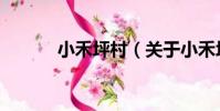 小禾坪村(關于小禾坪村簡介)