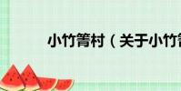 小竹箐村(關于小竹箐村簡介)